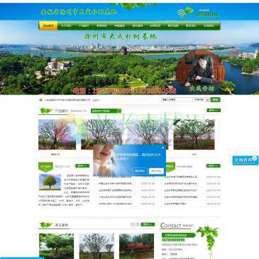 滁州市大威朴树基地（www.dwpushu.com），